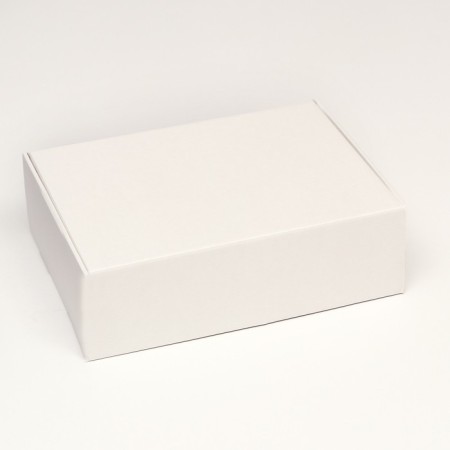 Self -charged box, white, 31 x 22 x 9.5 cm-1