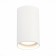 Ceiling lamp ST LUCE. ST157.532.20. 1x20 W, LED, 3000K, 1600 LM, 9.5x9.5x15 cm, white color
