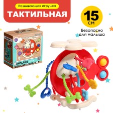 Developing toy 