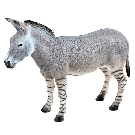 Figure "Wild African donkey"