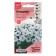 Flowers of Petunia "Triloji Silver Blotch", 5 pcs