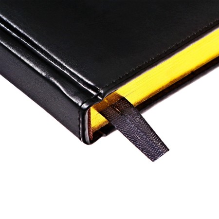 Dated diary 2024, A5, 168 sheets in the ruler, the leatherette "Nebraska", gold cut, black-4