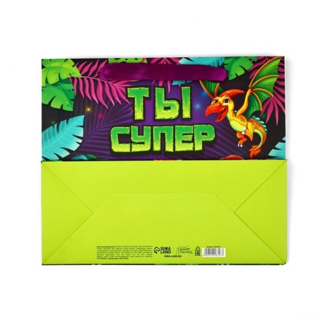 Packet laminated bilateral "dinosaurics", with quiet and postcard, ml, 23 × 27 × 11.5-7