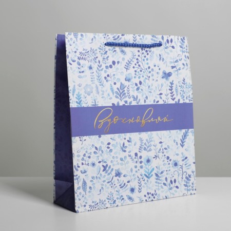 Gift package laminated, packaging, “inspiration”, Ml 21 x 25 x 8 cm-2