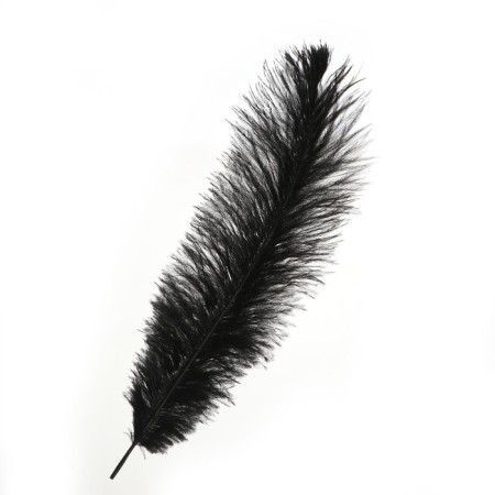 Feather for decor, size: 30-35 cm, black color-4
