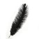 Feather for decor, size: 30-35 cm, black color