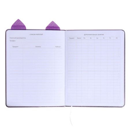 Universal diary for grade 1-11 Cat’s Eyes, hard cover, artificial leather, foam rubber, liesse, 80 g/m2-5