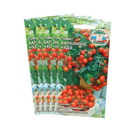 Seed Tomat "Balcony Miracle", set 5 pcs
