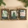 Gift set "Cozy New Year": Collection of herbs 3 pcs. x 20 g, jam from pine cones 100 g.
