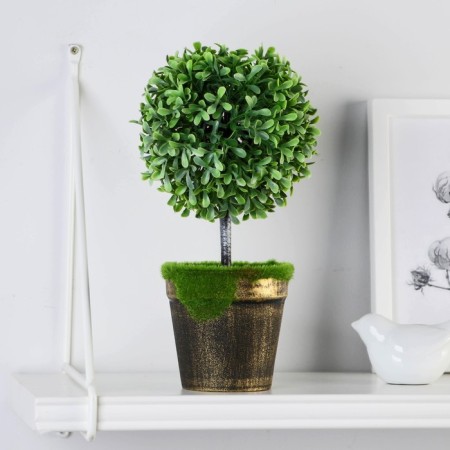 Bonsai in the Pokshit pot 10x23 cm