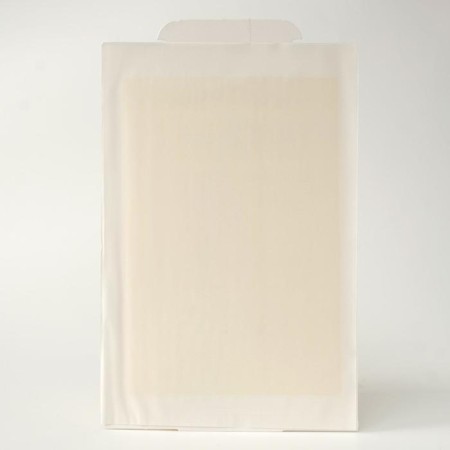 Nadzor adhesive from rodents "House", 2 pcs-5