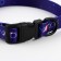 Collar Cosmo Dog, fastener - fastx, 2 cm 25-40 cm