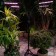 LED lamp with a timer, on a tripod Uniel, 60 watts, LED, IP40, 2280x470x470 mm, black color is black