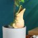 Irrigation for indoor and garden flowers "Congol" Kungur ceramics, 0.2l, 19cm, green