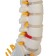 Lumbar of the spine "Lumbar" 18*12*8cm