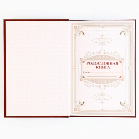 Родословная книга с НГ пояском «Дед мороз», 16,5 х 24 см.-4