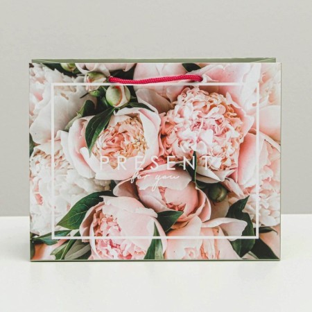 Gift Laminated horizontal package, packaging, Present, MS 18 x 23 x 10 cm-1
