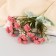 Bouquet "Chrysanthemum Ostrient" 3x27 cm, mix
