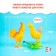 A set of animal figures "Pets", 6 pieces, with accessories