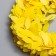 Liana is artificial for the decor "yellow", 3 meters, 13 × 13 × 2 cm