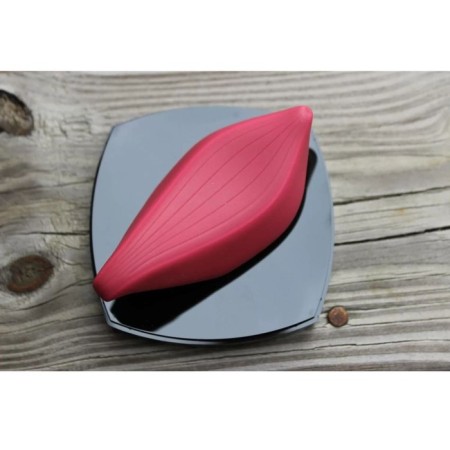 Вибратор Iroha Tori-2