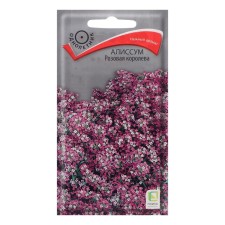 Alissum flower seeds 