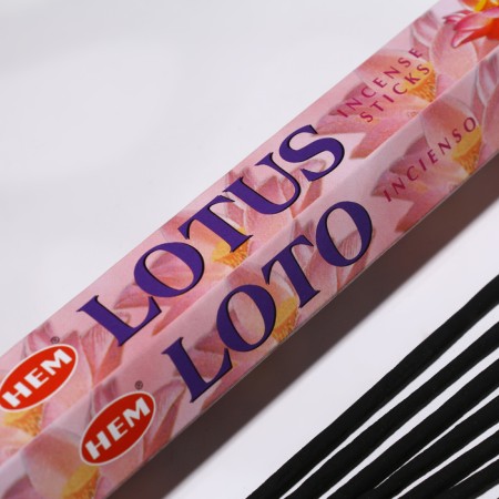 Incense hem "Lotus. Lotus", 20 sticks in packaging, hexagon-1