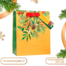 Gift package 
