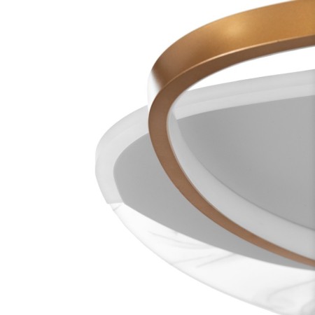 Chase with DNO "Malva" LED 120W 3000-6000K white-gold 50x45x7 cm Bayerlux-8