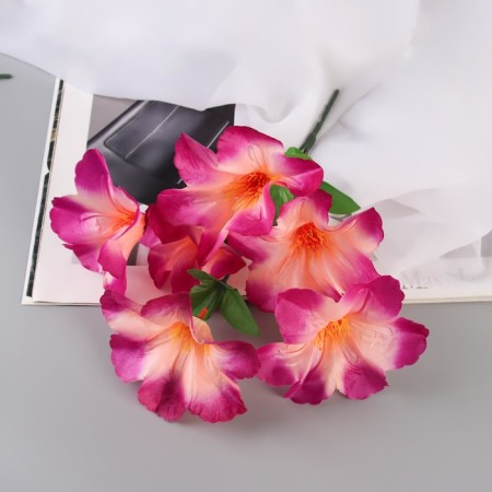 Bouquet "Adenium Extra Galant" D-14 cm 30 cm, mix-3