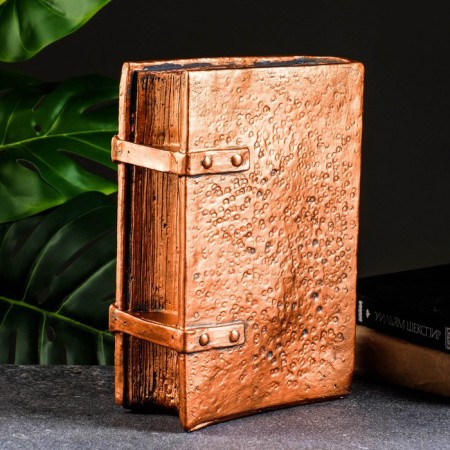 Piggy bank "Book" Capital "copper, 27x19cm-2