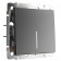 Single -valve circuit breaker with backlight (matte graphite) W1110164