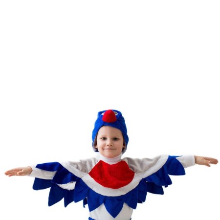 Snegier carnival costume, hat, collar with wings, 5-7 years old, height 122-134 cm