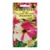 Petunia seeds "Sophistry Lime two -color", F1, 4 pcs.