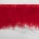 Braid with feathers Marabu, 8-10 cm, 5 ± 0.5 m, red color