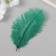 Pen of decorative ostrich "needles" h = 15-20 cm