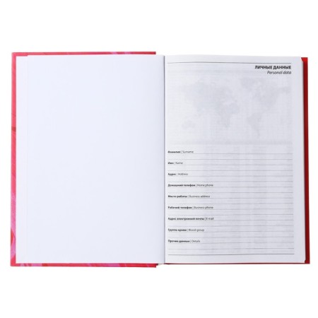 The diary of a low -up A5 160 sheets, cardboard 7BC, matte lamination, Beautiful-3