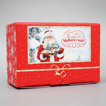 Box - Penal "Magic", 22 x 15 x 10 cm, New Year-2