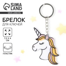 Key keychain 
