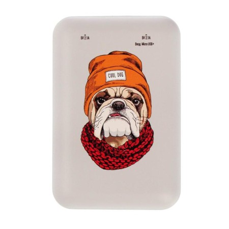 External battery Ritmix RPB-10007, 10,000 mAh, 2xUSB, 2.1 A, bulldog