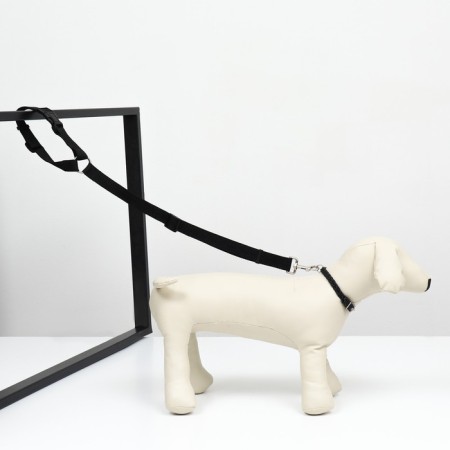 Leash with a universal penalment, width 2.5 cm, black-6