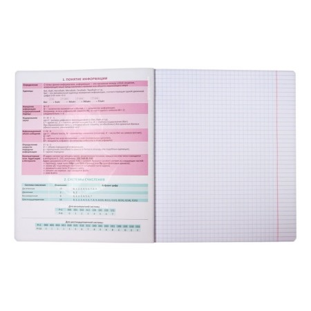 Subject notebook, 48 sheets, cage, computer science Erichkrause "Persons", plastic cover silk-screen covers, Blok Offset 100%, information block-3