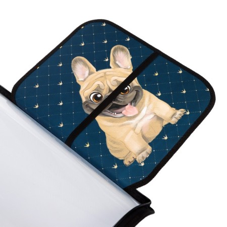 Labor folder A4, 325 x 230 x 25 mm, lightning around, hinged bar, plastic, PTR-1, calligrata "bulldog"-5