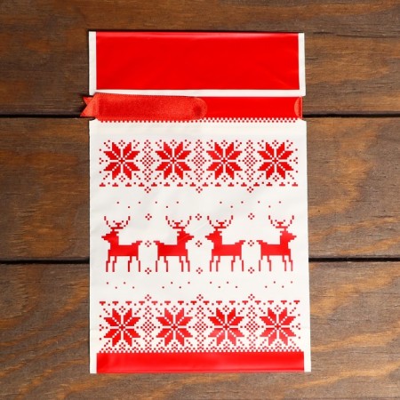 Polyethylene gift package, with ties "New Year's pattern", 15*23cm-2