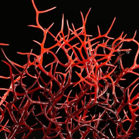 Decor for the Aquarium "Coral Plant", 34 x 10 x 28 cm-3