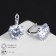 Earrings with the rhinestones "Big Diamond", D = 1 cm, white color in silver