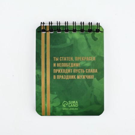 Set "for our hero": Notepad and pen Plastic-4