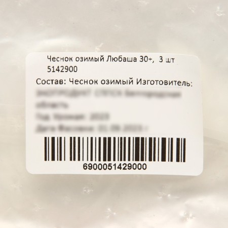 Garlic winter Lyubasha 30+, packaging 3 pcs-1
