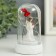 Souvenir Polystone Light "Angel with red roses" MIX 6x6x9.5 cm