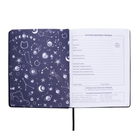 School diary for grades 1-11 Medzhik Cat, firm cover with artificial leather foam, perforation + holographic substrate, foil embossing, 48 sheets, an offset block 80g/m2, universal cheat sheet-3